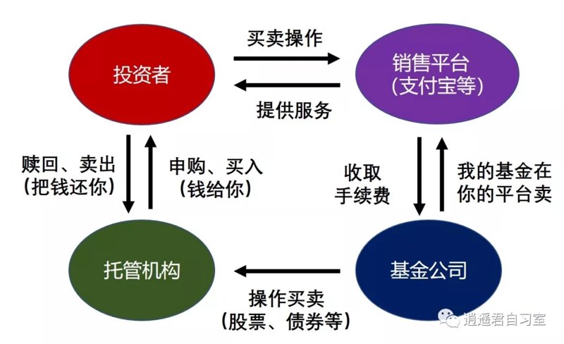 警惕投资迷途：基金销售平台选择的误区警示